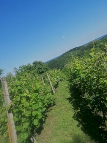 Zemljište Sveti Ivan Zelina Gornje Orešje099525
