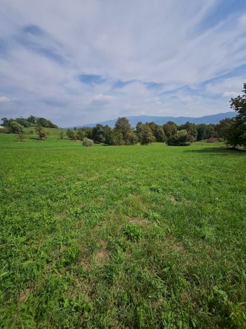 Zemljište površine 3000m2