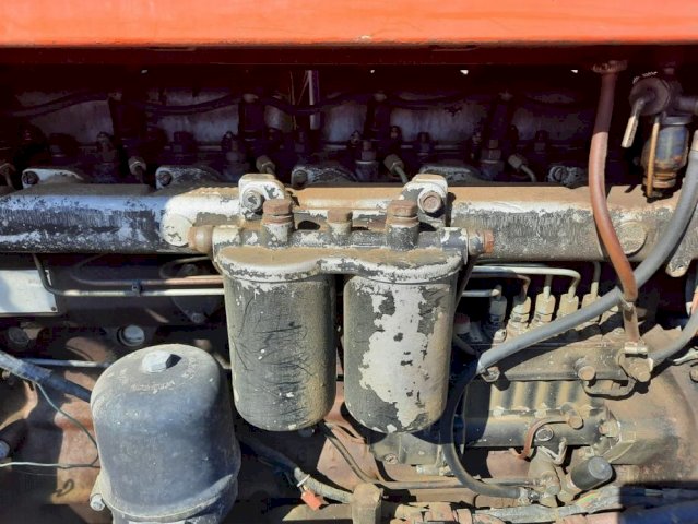 Zetor