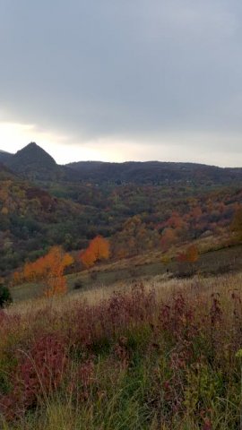 GRAĐEVINSKO ZEMLJIŠTE, SV.MARTIN POD OKIĆEM