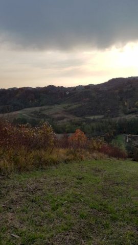 GRAĐEVINSKO ZEMLJIŠTE, SV.MARTIN POD OKIĆEM