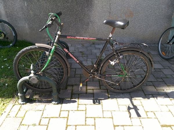 DAY TRIPPER - MTB
