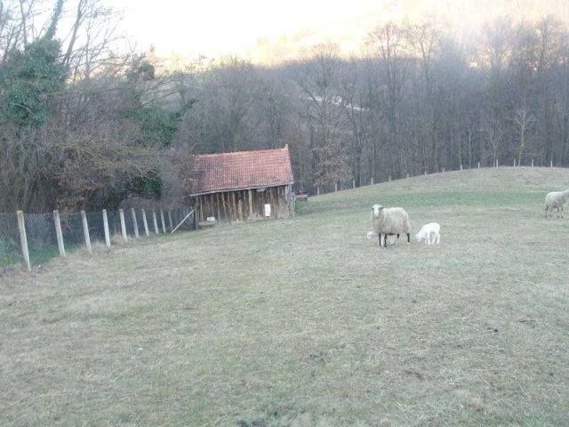 TUHELJSKE T. - Sveti Križ, 35000 m2