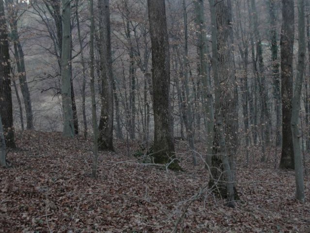 TUHELJSKE T. - Sveti Križ, 35000 m2