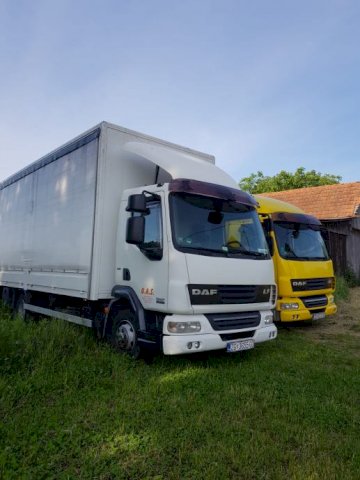 Daf Lf