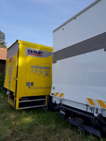 Daf Lf