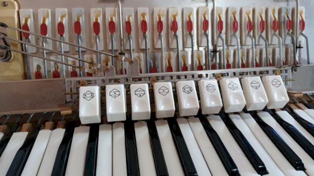 Harmonika Melodija