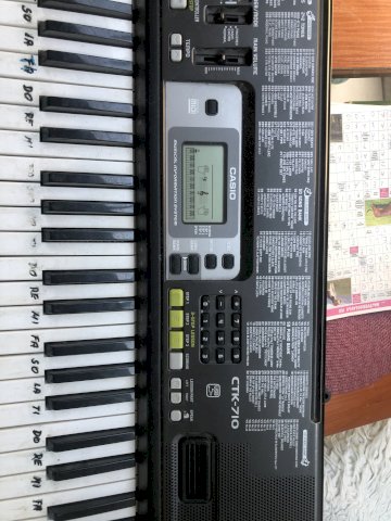 Casio  sintersajzer i profi lemilica mjenjam za a