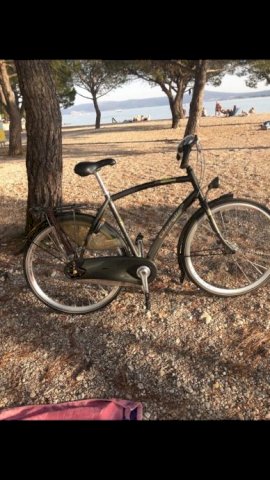 Gazelle vrhunski gradski bicikl