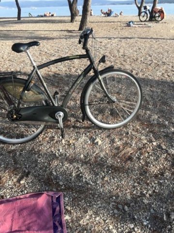 Gazelle vrhunski gradski bicikl