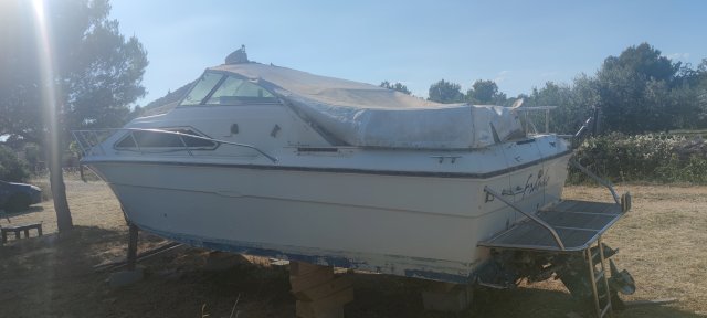 Sea ray 8 metara