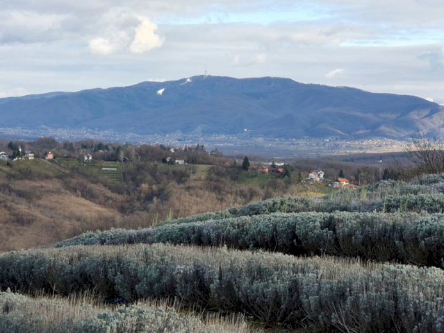 Zemljište, Marija Gorica, 23000 m2