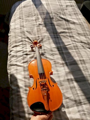 Violina