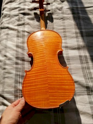 Violina