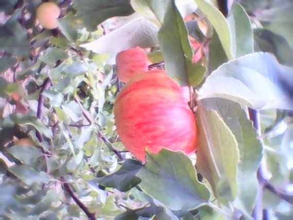 Klinča Sela, Građevinsko Zemljište