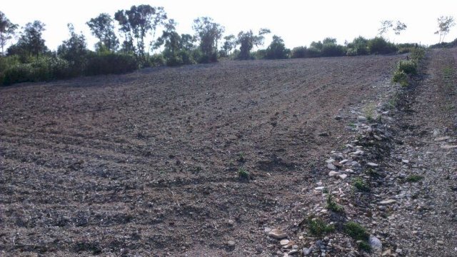 Poljoprivredno zemljište: Duga Uvala, 1051 m2