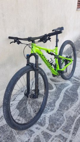 Specialized Epic FSR Comp 29