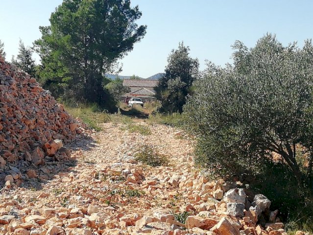 Poljoprivredno zemljište, Srima, 3000m2
