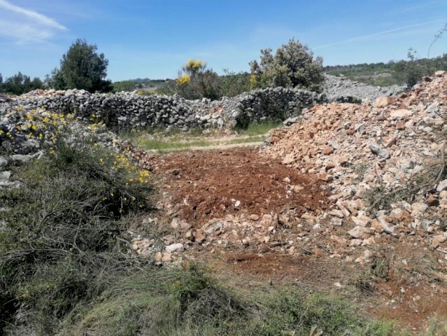 Poljoprivredno zemljište, Srima, 3000m2