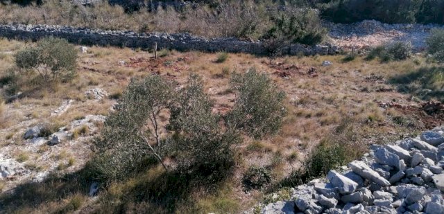 Poljoprivredno zemljište, Srima, 3000m2