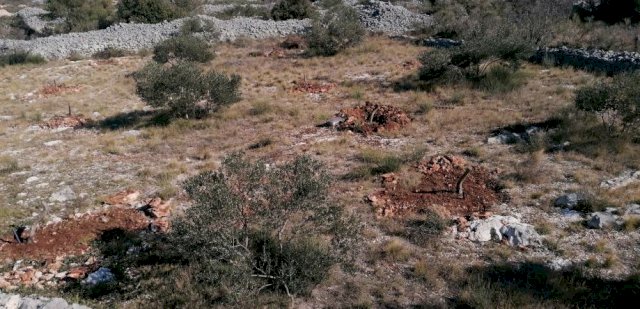 Poljoprivredno zemljište, Srima, 3000m2