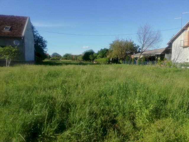 Građevinsko zemljište, Sarvaš, 1599 m2