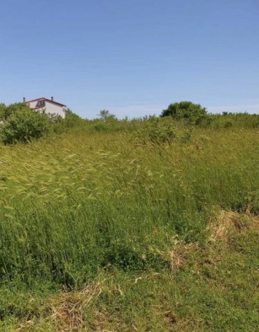 Građevinsko zemljište Pula 980m2 - ili zamjena 