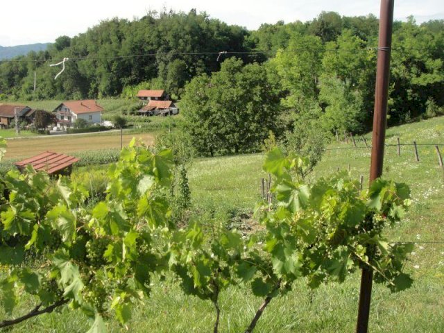Kraj Gornji,180 m2 - roh-bau - k.č. 2300m2
