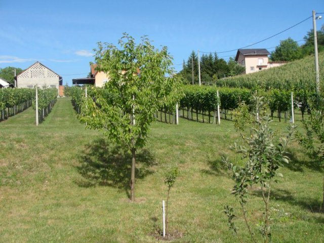 Kraj Gornji,180 m2 - roh-bau - k.č. 2300m2