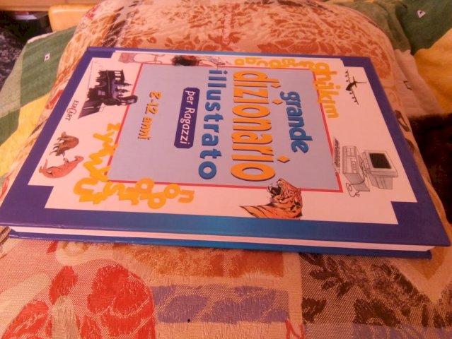 Grande dizionario illustrato per Ragazzi. 8 -12 a