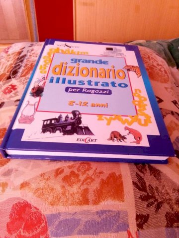 Grande dizionario illustrato per Ragazzi. 8 -12 a