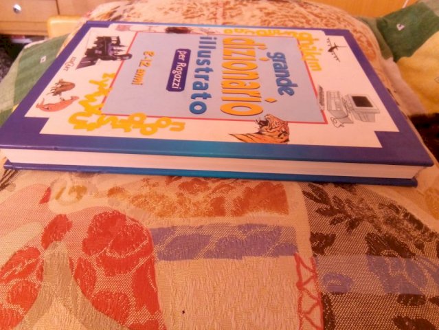 Grande dizionario illustrato per Ragazzi. 8 -12 a