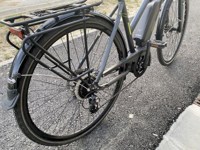 Triumph E-Bird Plus 8K Bosch