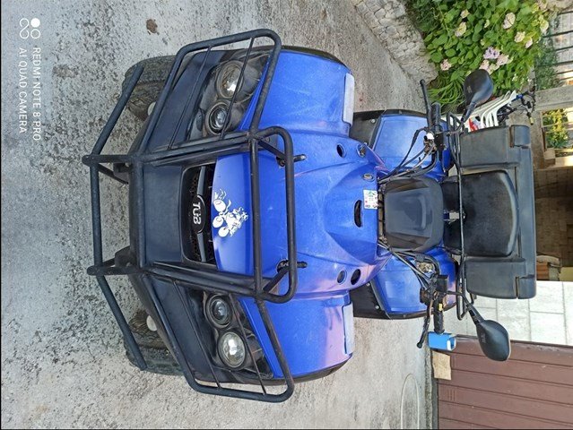 Atv / Quad Tgb blade 250