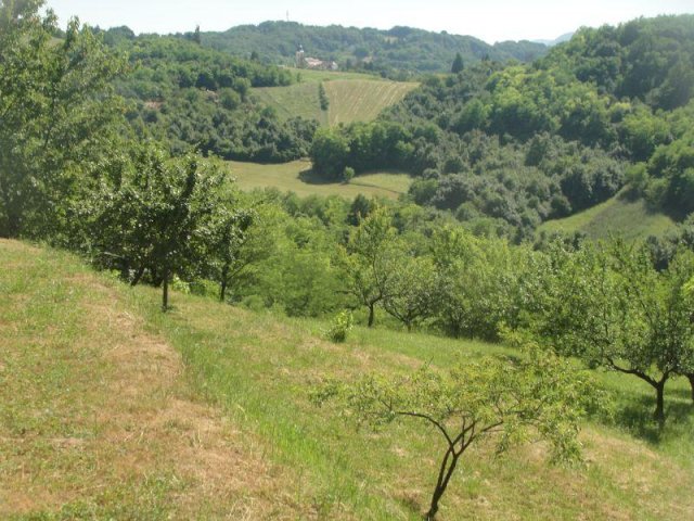Kuća: MARIJA GORICA-Celine Goričke, 220.00 m2
