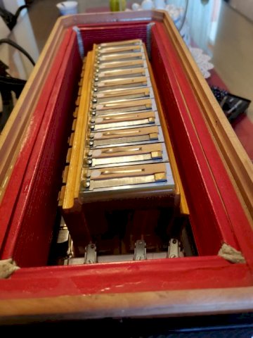 Guerrini Superior 2