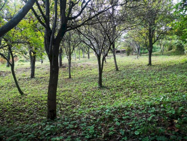 zemljište, Sv.Nedelja , 1103 m2+580